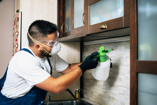 Best Insect Control  in Oakland, PA