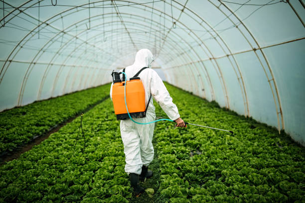 Best Affordable Pest Control Services  in Oakland, PA